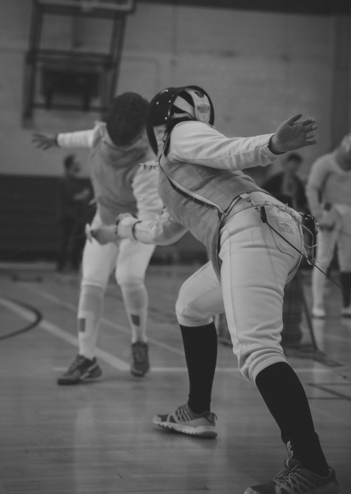 Fencing 3